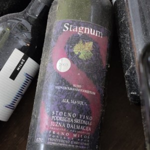 Team building na Pelješcu