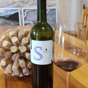 Team building na Pelješcu