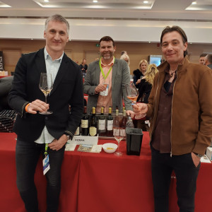 Festival vino Dalmacije