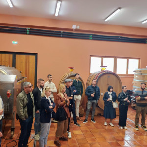 Posjet vinariji Korta Katarina