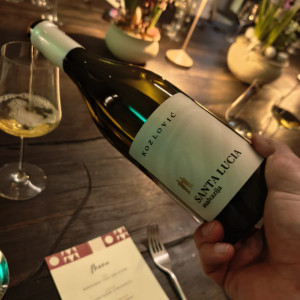 S proljećem je stigla nova berba Malvazije Kozlović